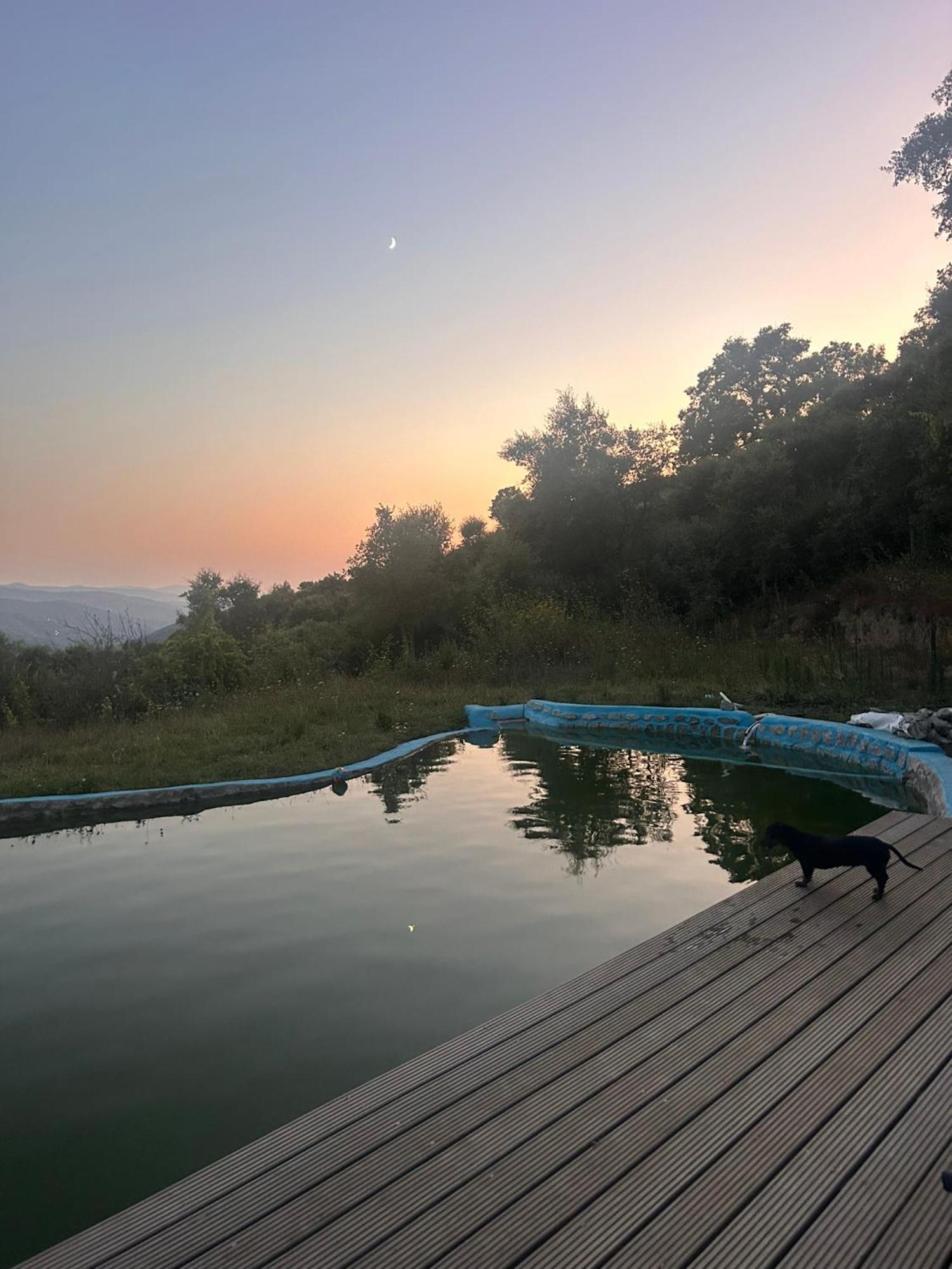 Folhadosa Monkey Tiny Barnhouse With Amazing Views! 빌라 외부 사진