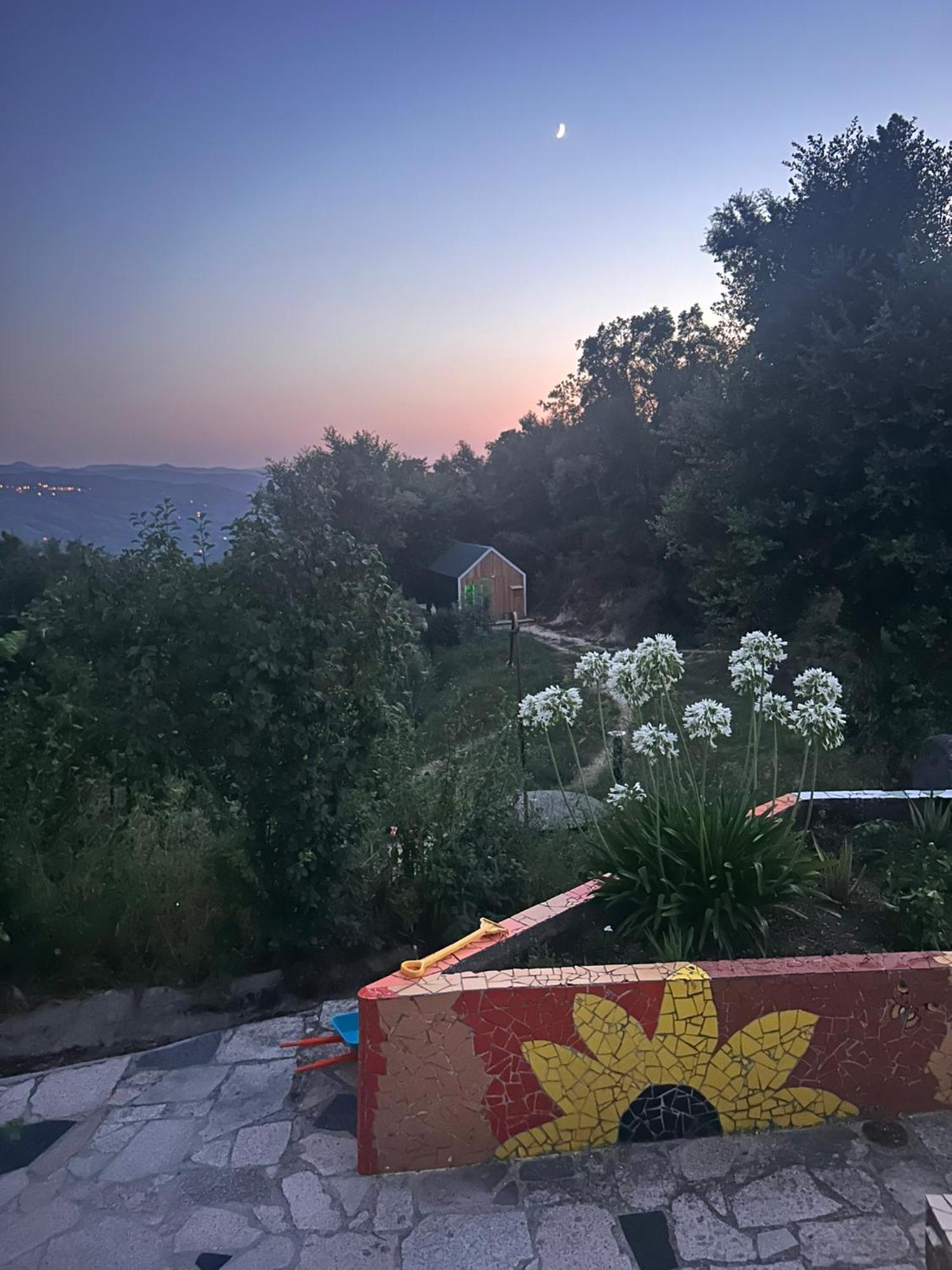 Folhadosa Monkey Tiny Barnhouse With Amazing Views! 빌라 외부 사진